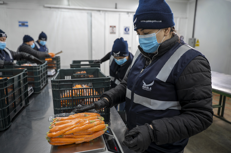 Trabajadora de logística pesando un paquete de zanahorias frescas en una planta de procesamiento de alimentos de Águila Logística.